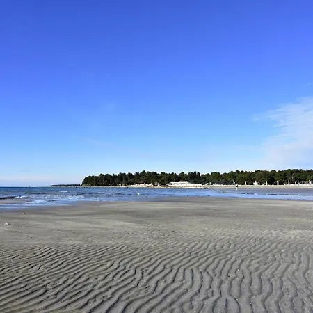 公寓 Geraeumige In Punta In Strandnaehe 乌马格