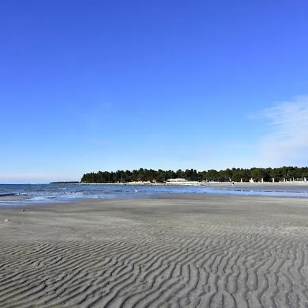 公寓 Geraeumige In Punta In Strandnaehe